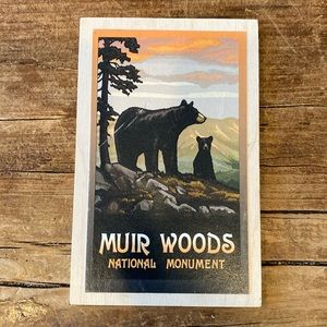 Muir Woods Birchwood Postcard